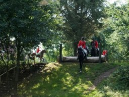 556372_10151090367148585_921501210_n